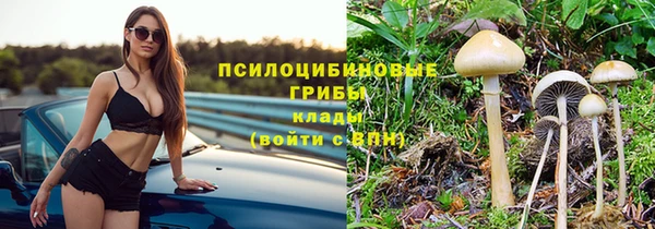 гидропоника Вязьма