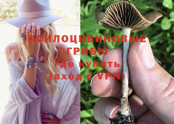 спайс Вяземский