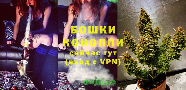 спайс Вяземский