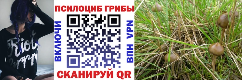 Псилоцибиновые грибы MAGIC MUSHROOMS  это состав  Хасавюрт 